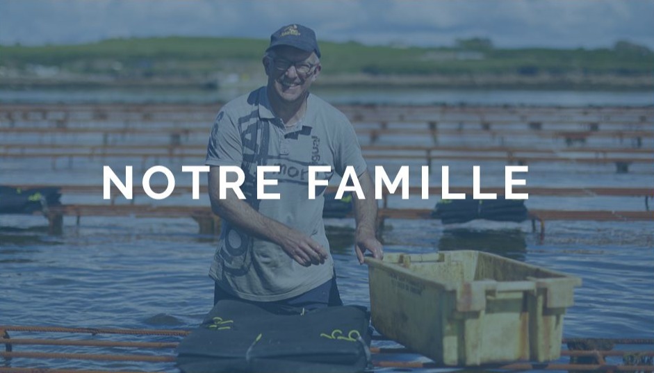 Odoo • Image et Texte